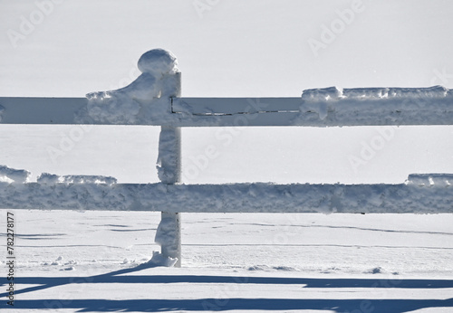 Snow Frozen to Fence