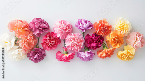 An arrangement of carnations in vibrant hues