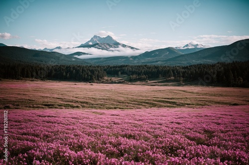 cloudy morning in the mountains with a forest and pink blooming flower field, with copy space, for banner, wallpaper, poster, flyer, advertising, interior