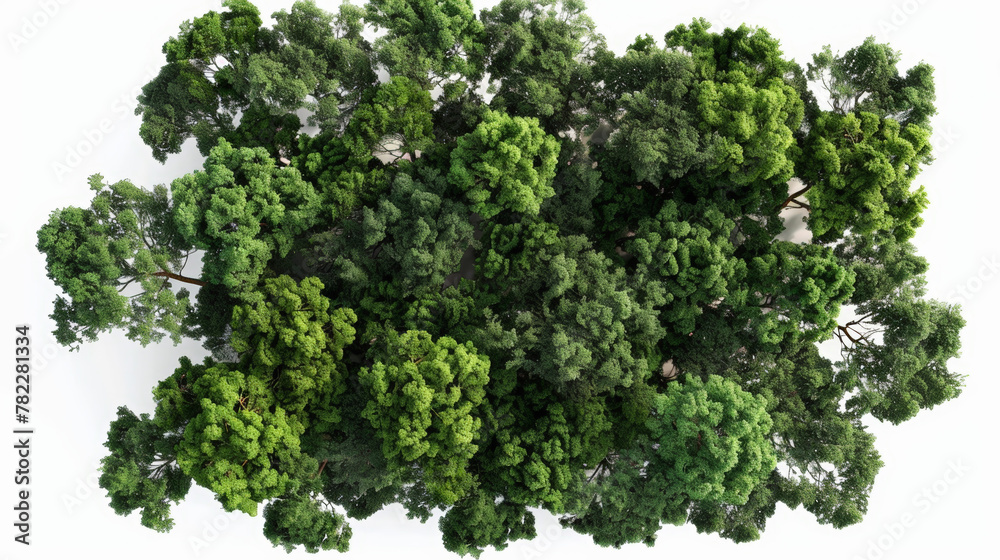 aerial view of woods, isolated, transparent aerial view of woods, isolated, transparent