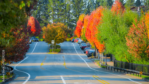 Street in Portland Oregon with colorful autumn trees