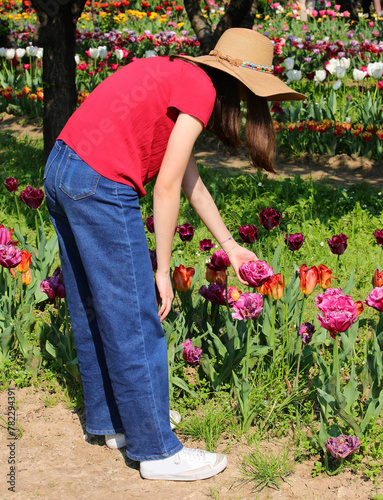 girl in jeans and wide straw hat picking blooming tulips © ChiccoDodiFC