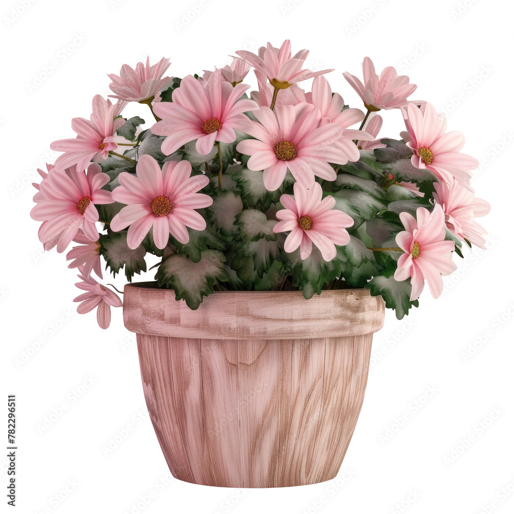 Pink flower pot with lovely pink blooms Pink flower pot with lovely pink blooms