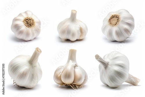 Garlic heads isolated in different positions on white background and macro photography. . photo on white isolated background