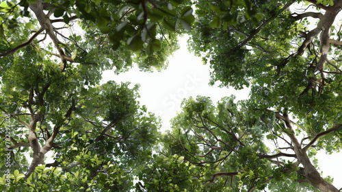 green leaves background on transparent background