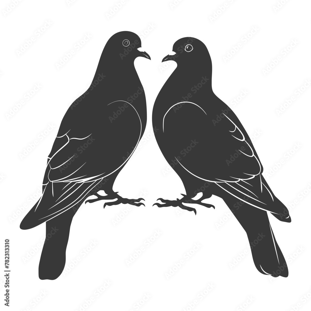 Silhouette dove bird animal couple pigeon black color only Silhouette dove bird animal couple pigeon black color only