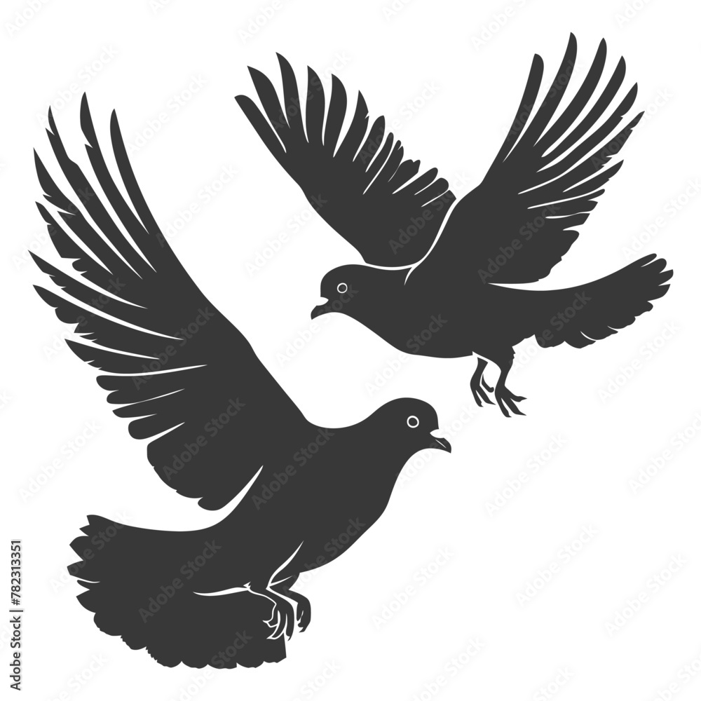 Fototapeta premium Silhouette dove bird animal fly couple pigeon black color only