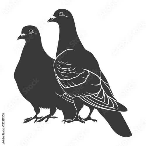 Silhouette dove bird animal couple pigeon black color only