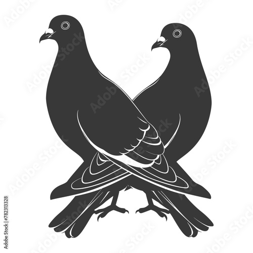 Silhouette dove bird animal couple pigeon black color only