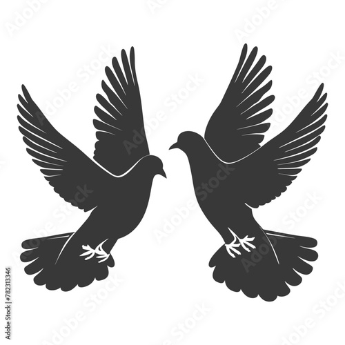 Silhouette dove bird animal fly couple pigeon black color only