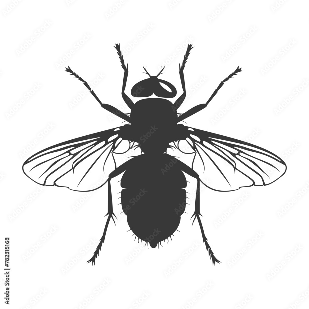 Silhouette Fly Insect animal black color only full Silhouette Fly Insect animal black color only full