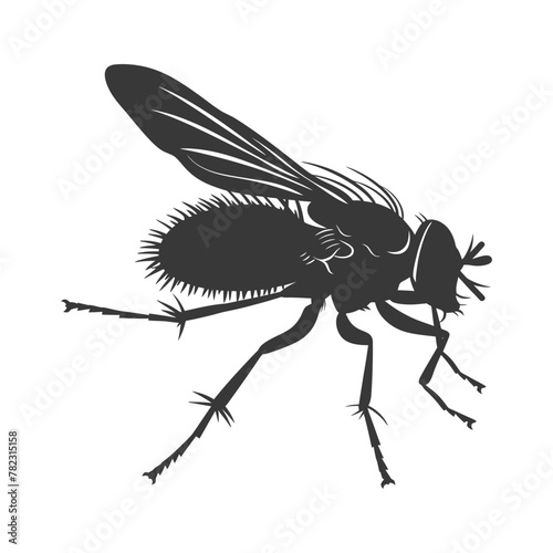 Silhouette Fly Insect animal black color only full