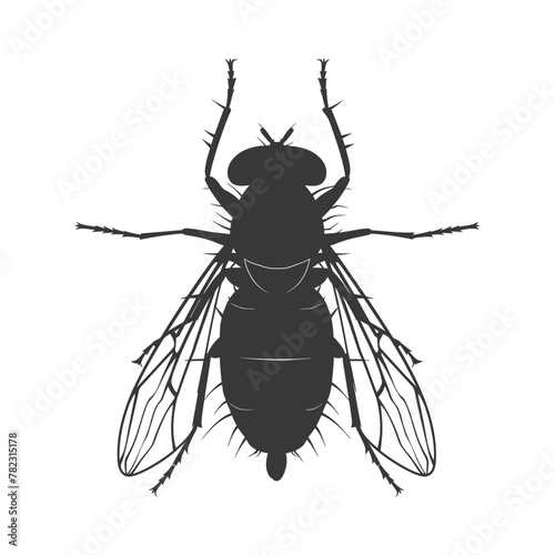 Silhouette Fly Insect animal black color only full