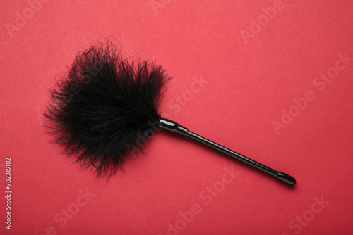 Black feathered fetish equipment on red background