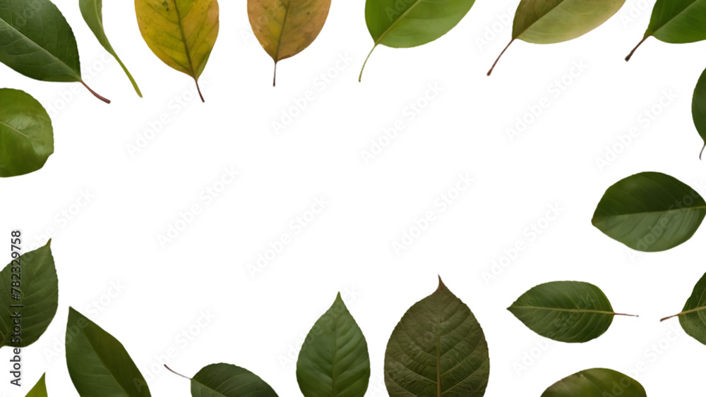 Obraz premium green leaves frame