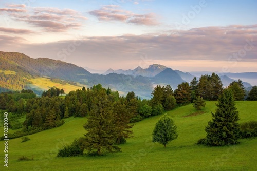 Fototapeta Naklejka Na Ścianę i Meble -  Green field and view of Trzy Korony, Pieniny Mountains Peak in Poland at Spring. Fresh green spring landscape, beautiful Poland