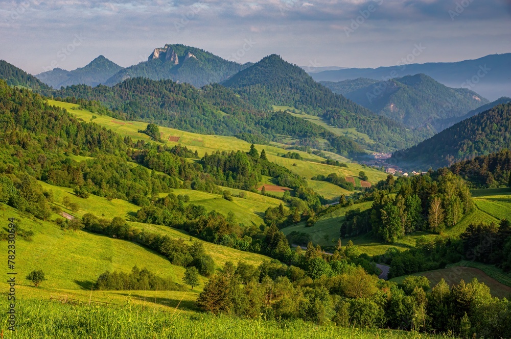 Spring green landscape with lush meadows, hills and forest. Beautiful Polish landscape. View on Pieniny and Gorce mountain range in Beskids in Poland.