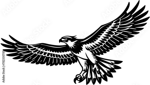 Red tailed hawk vector illustration photo