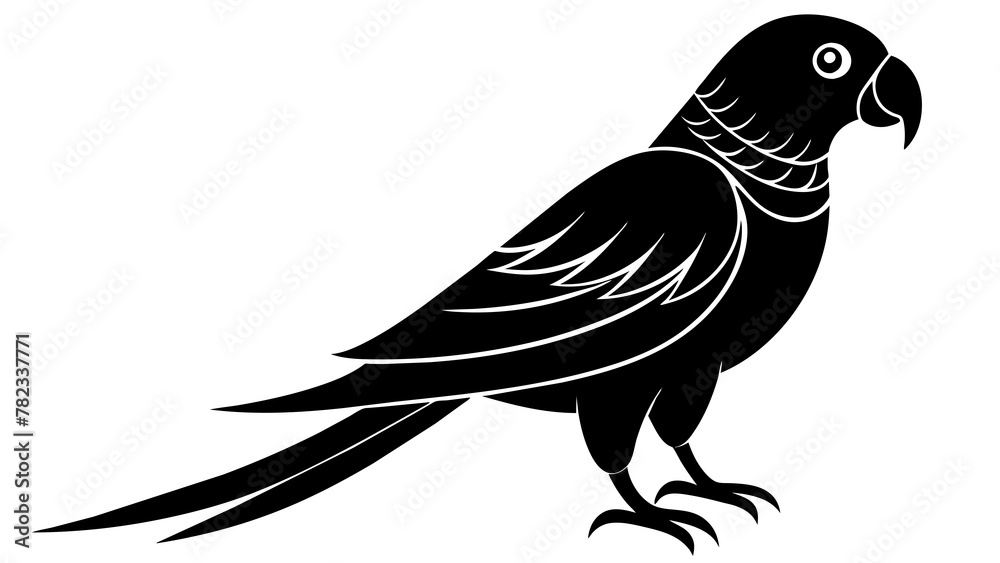 Fototapeta premium parrot and svg file