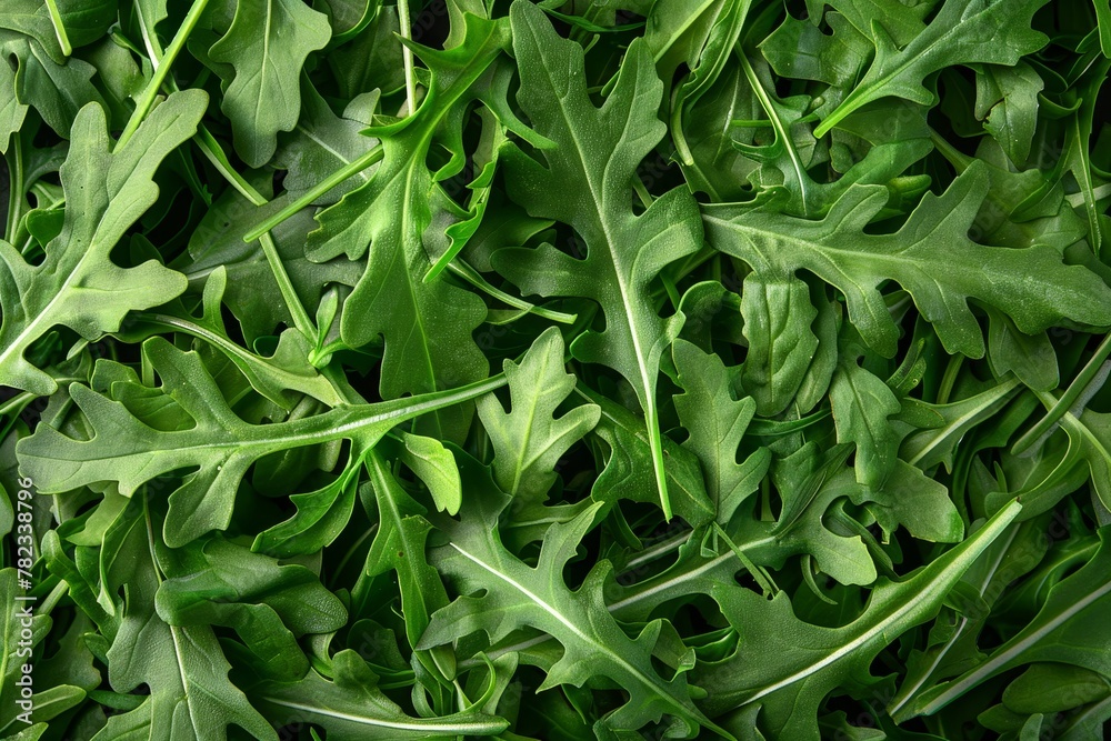 Top view of fresh arugula green leaves used as a salad vegetable and garnish Top view of fresh arugula green leaves used as a salad vegetable and garnish