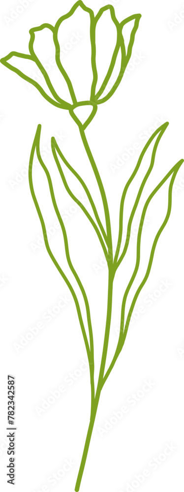 Obraz premium Botanical Line Vector