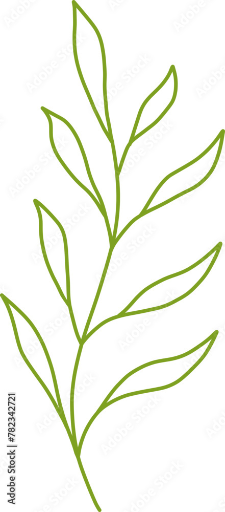 Fototapeta premium Botanical Line Vector