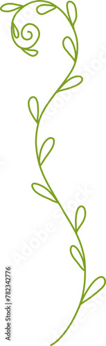 Botanical Line Vector photo