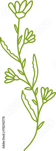 Botanical Line Vector