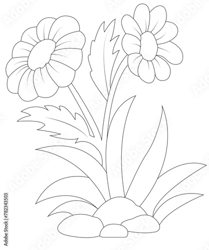 Flower coloring book page for kids