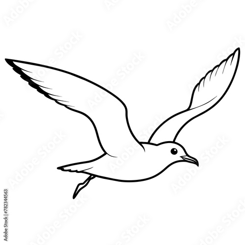 illustration of a bird