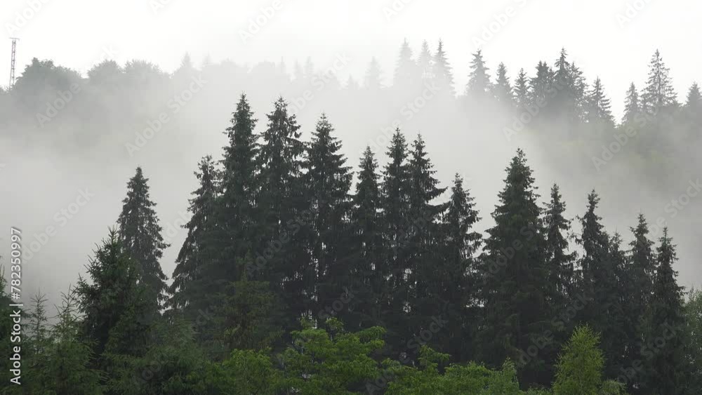 Fog in Mountains, Clouds Rainy Day, Cloudy Mystical Foggy Forest, Stormy Mist Haze Smoke, Alpine Wood Overcast Landscape Timelapse Fog in Mountains, Clouds Rainy Day, Cloudy Mystical Foggy Forest, Stormy Mist Haze Smoke, Alpine Wood Overcast Landscape Timelapse