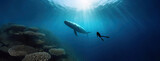 A solitary whale swims in the deep ocean. A diver encounters a majestic animal in the water depths, sunlight filtering above. Underwater world is serene, showcasing the vastness of the marine habitat