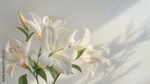 Elegant lilies against a clear white canvas