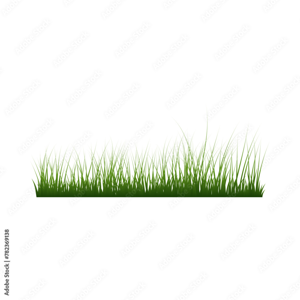 Fototapeta premium Grass Border