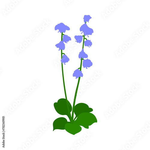 Bell Flower