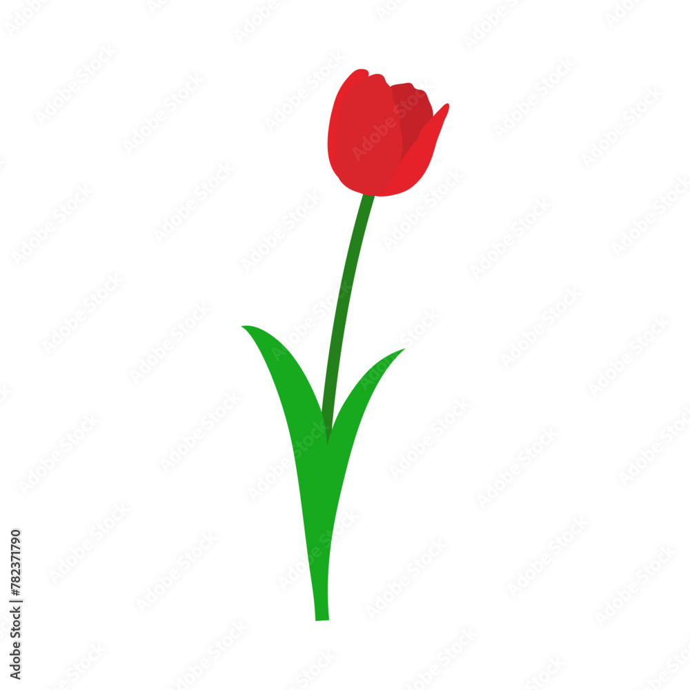 Spring Tulip Element Spring Tulip Element