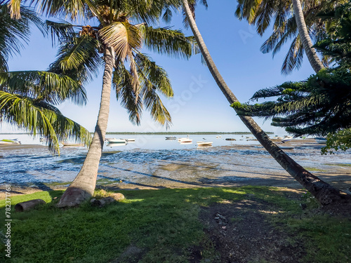 Mauritian coastal landscape at low tide