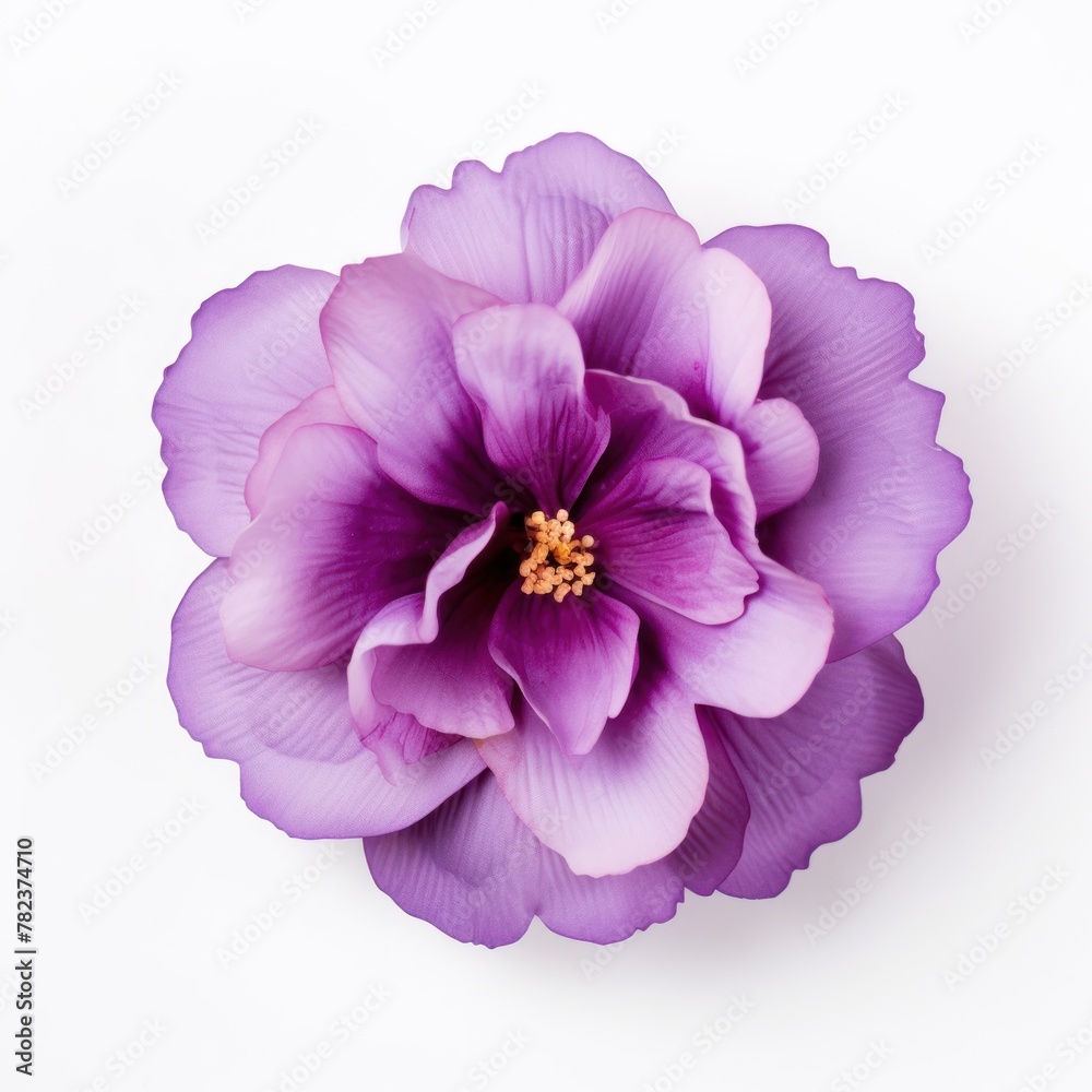 Obraz premium Vibrant Purple Bloom Overhead Generative AI