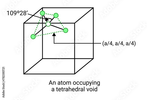 An atom occupying a tetrahedral void.