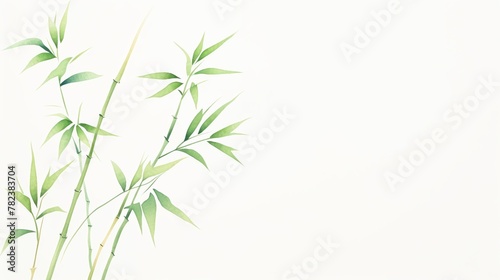 Bamboo Minimal, Bamboo stalk, elegance in green & soft beige, cartoon drawing, water color style. © Watercolorbackground