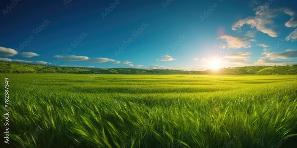 Idyllic Summer Landscape: Green Meadow, Blue Sky, and Radiant Sun Generative AI
