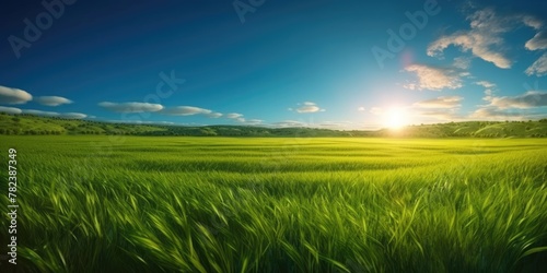 Idyllic Summer Landscape  Green Meadow  Blue Sky  and Radiant Sun Generative AI