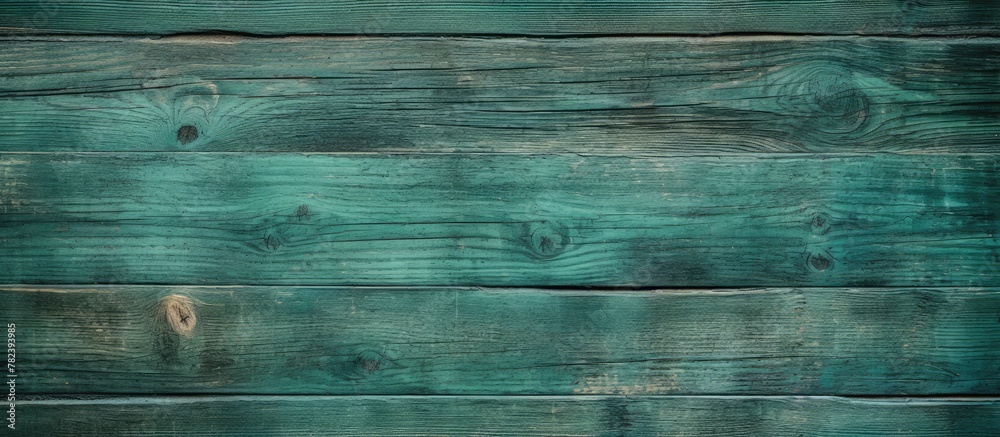 Green pigment on close-up wooden wall