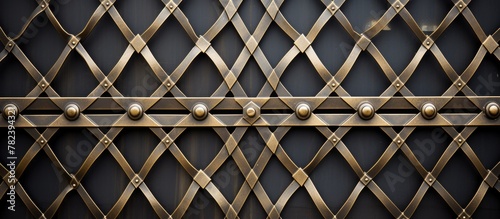 Close-up Metal Door Design