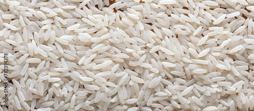 Close up of rice mound with...