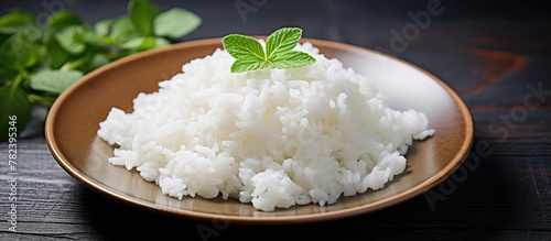 Plate of rice topped with m...