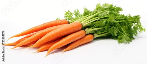 Fresh carrots on white surface