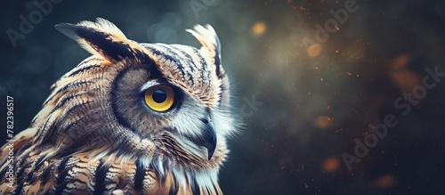 Beautiful Large Owl with Ye...