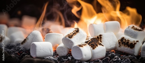 Marshmallows grilling with ...