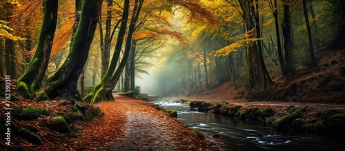 Autumn colors adorn Basque ...
